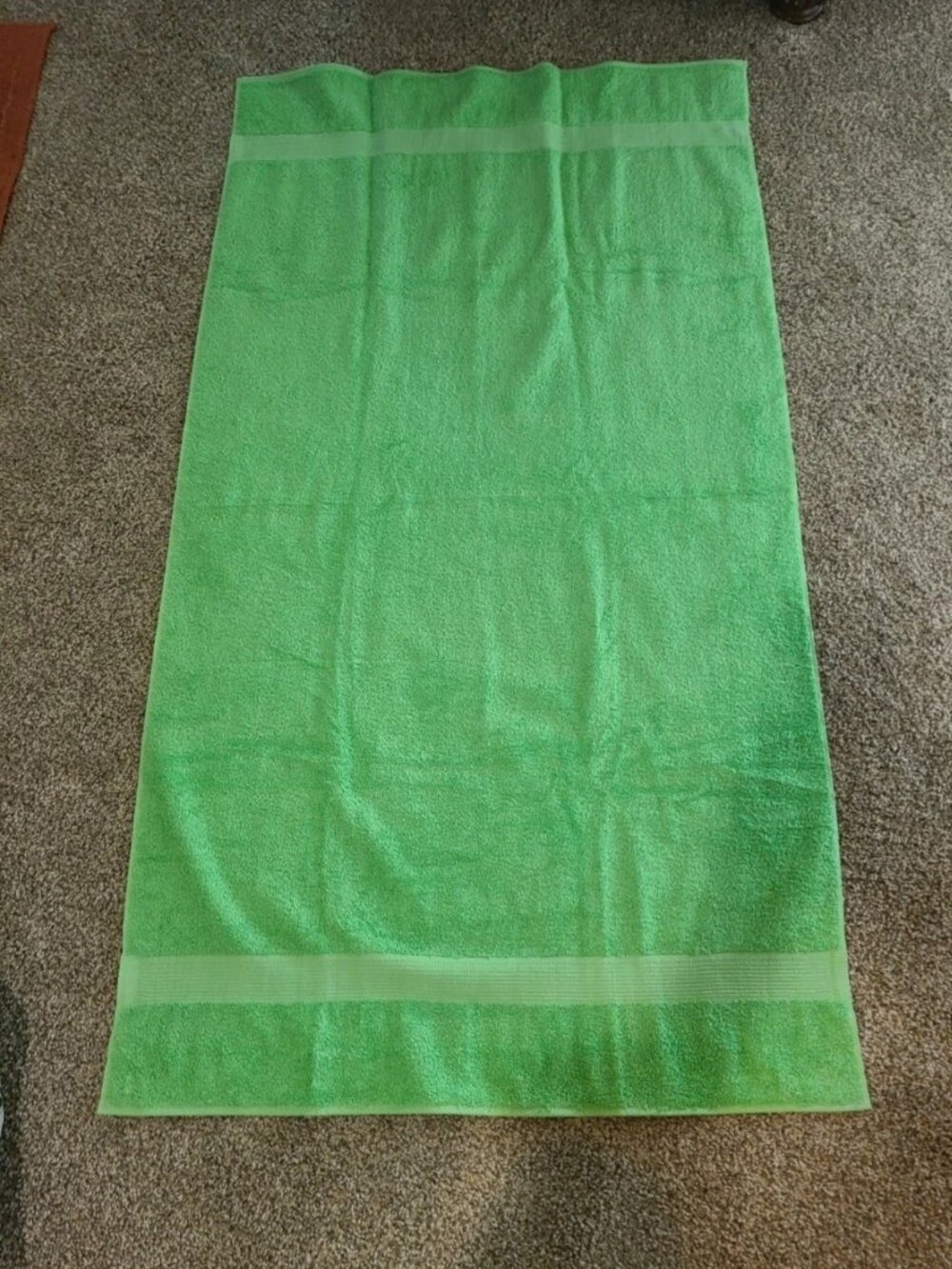 VTG Elegance Lady Pepperell Bath Towel 54" x 30" Apple Green Cotton